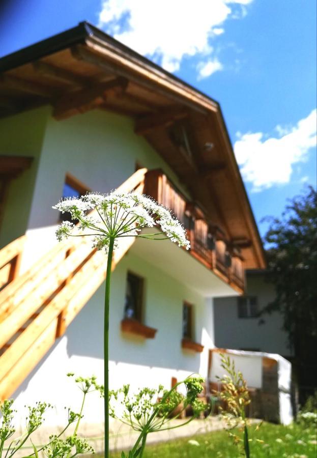 Ferienwohnung Auenheim Innervillgraten Εξωτερικό φωτογραφία